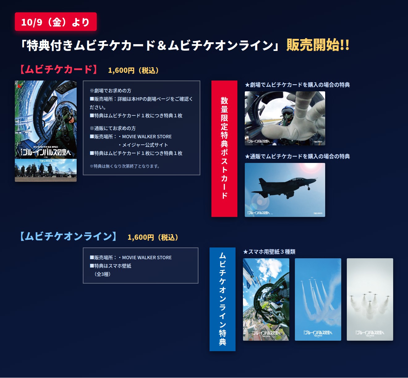 劇場版 ブルーインパルスの空へ